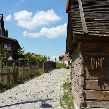 Apartament Stary Kazimierz - Apartamenty Pod Aniolem Kazimierz Dolny Buitenkant foto